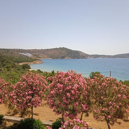 Skoutari Beach Hotel Exterior foto