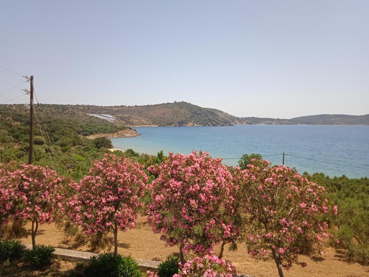 Skoutari Beach Hotel Exterior foto