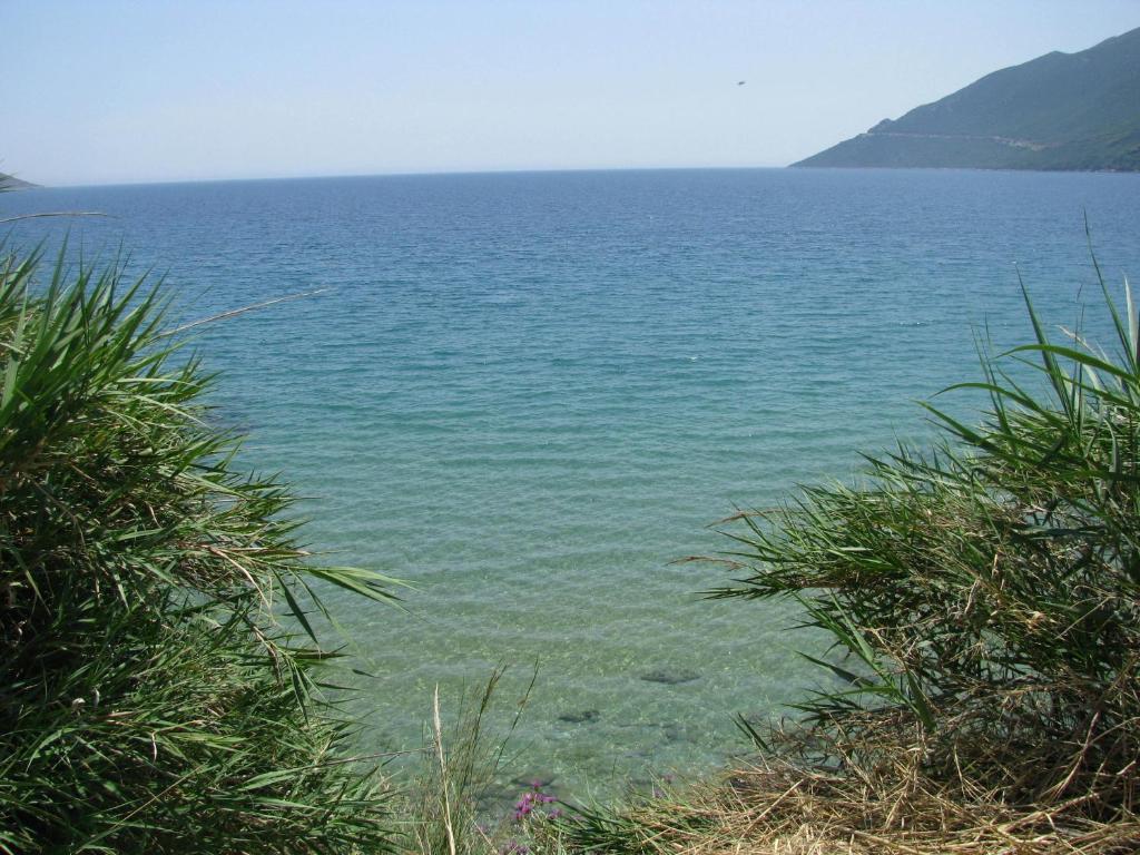 Skoutari Beach Hotel Exterior foto